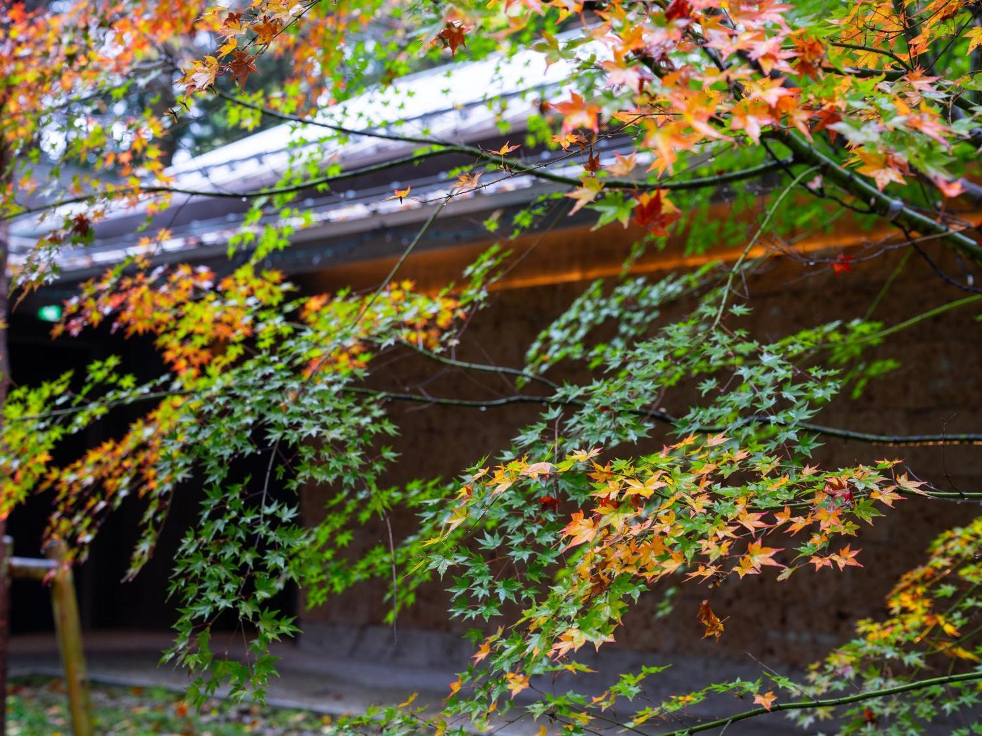 Nikko Nishimachi Club酒店 外观 照片
